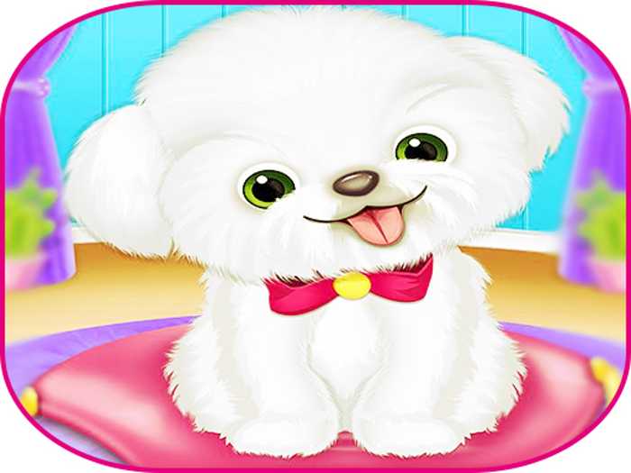 Pets Day Care Pro Unblocked