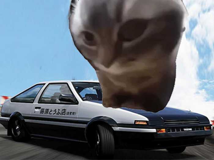 Car Stunt Chipi Chipi Chapa Chapa Cat Unblocked