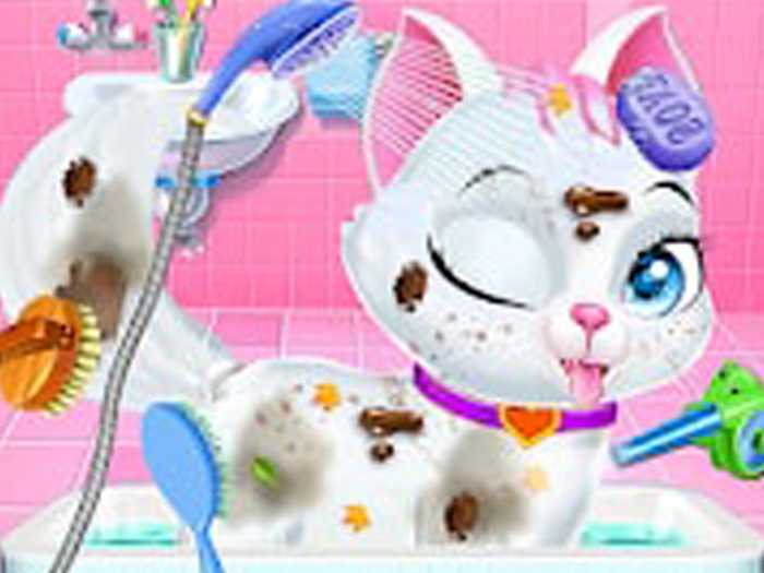 Animal Daycare Pet Doctor Unblocked