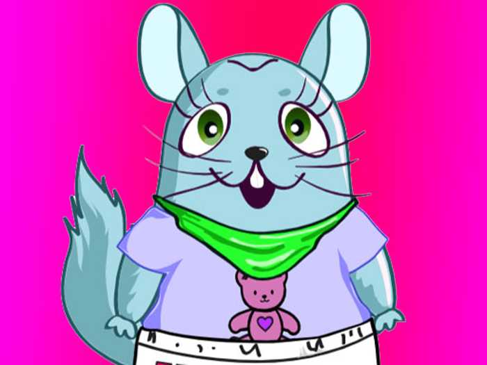 Chinchilla Dress up Unblocked