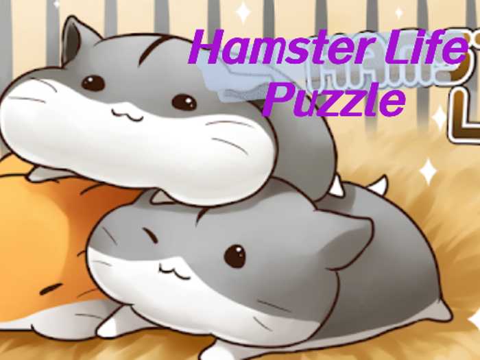 Hamster Life Puzzle Unblocked