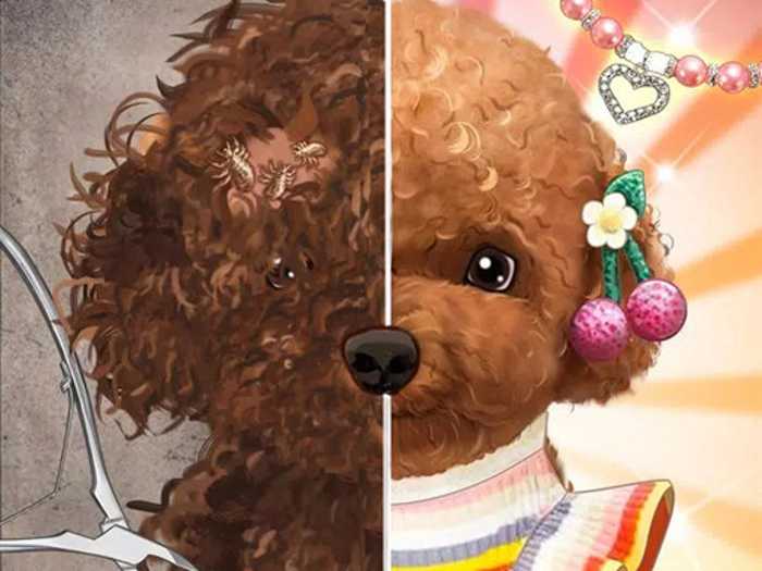 Pet Makeup Master Unblocked