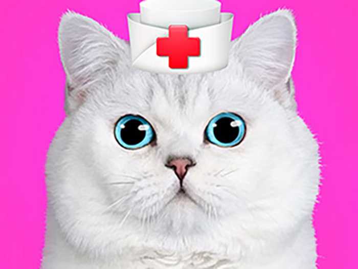 Cat Pet Doctor Dentist Unblocked
